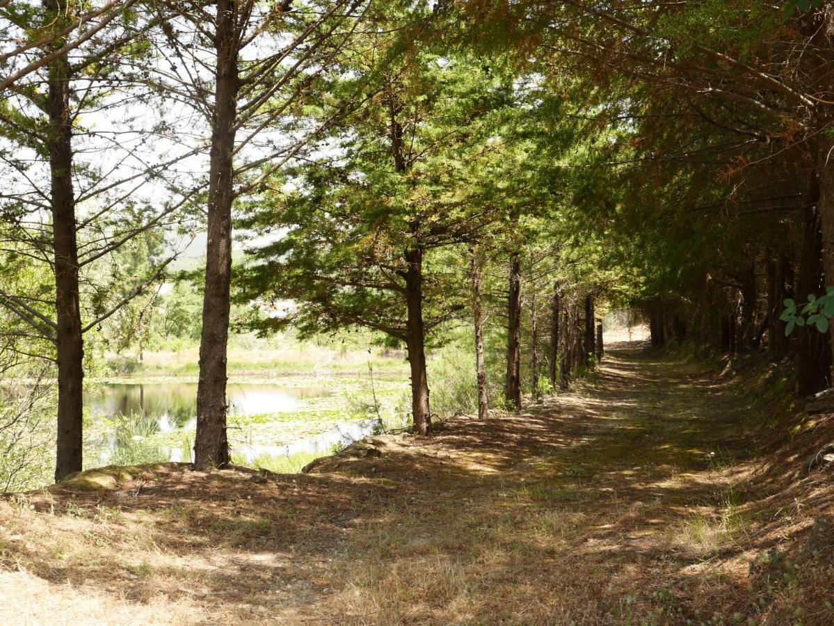 Quinta Nas Colinas Villa São Vicente da Beira Buitenkant foto