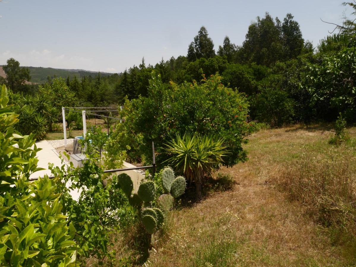 Quinta Nas Colinas Villa São Vicente da Beira Buitenkant foto