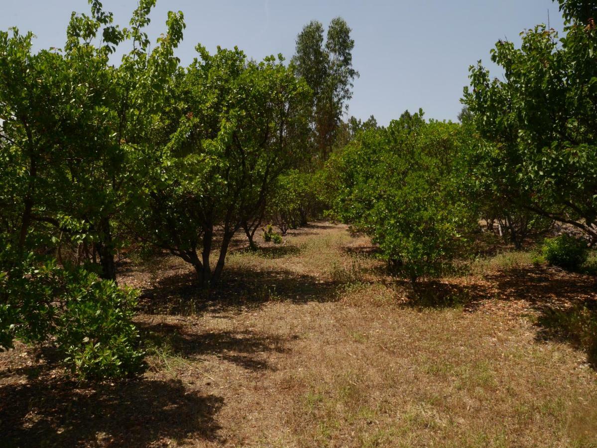 Quinta Nas Colinas Villa São Vicente da Beira Buitenkant foto